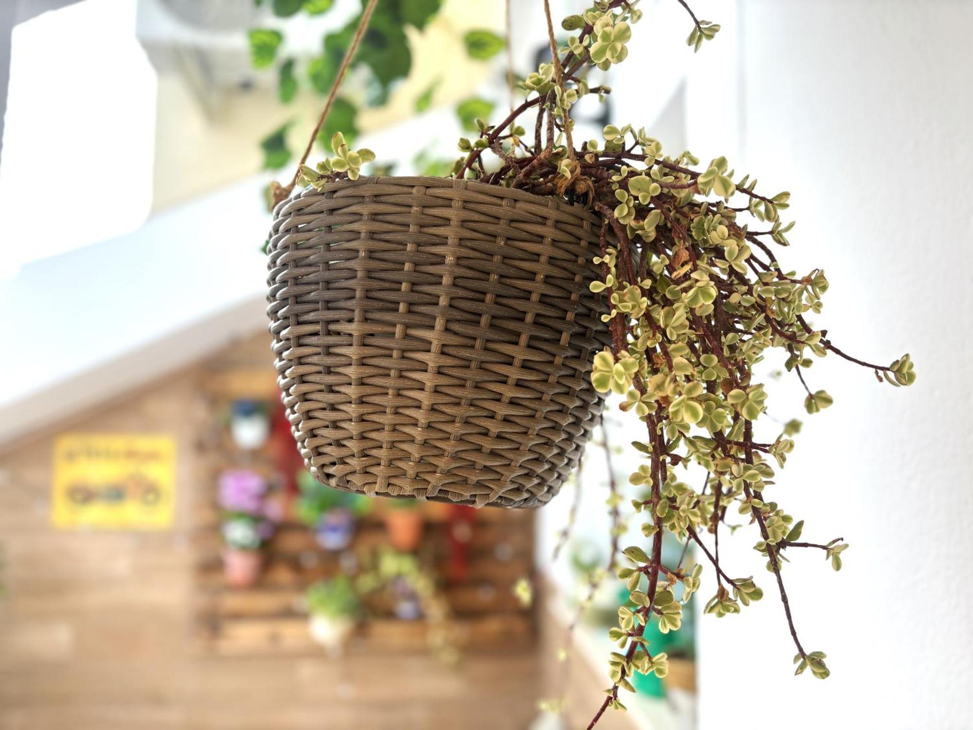 Vivienda Turistica Jaen Interior Atico Apartman Andújar Kültér fotó